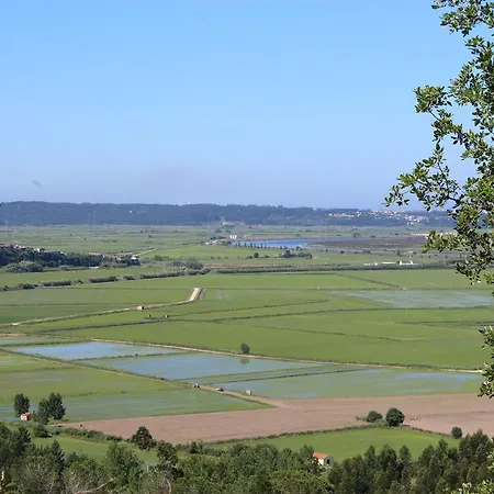 Quinta De Santo Antonio Do Cardal Montemor-o-Velho