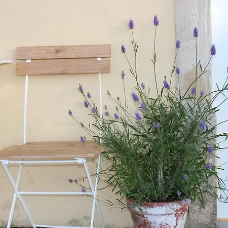 Κατάλυμα σε φάρμα Quinta De Santo Antonio Do Cardal