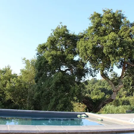 Κατάλυμα σε φάρμα Quinta De Santo Antonio Do Cardal *