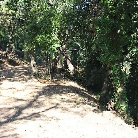 Quinta De Santo Antonio Do Cardal